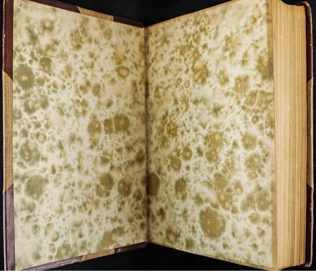 The Works of Charles Dickens / 1900 National Library Edition - 3