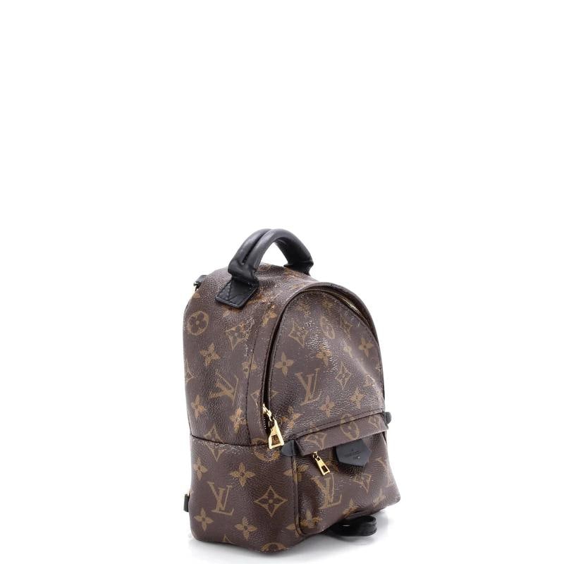 Louis Vuitton Palm Springs Backpack Monogram Canvas Mini - 2