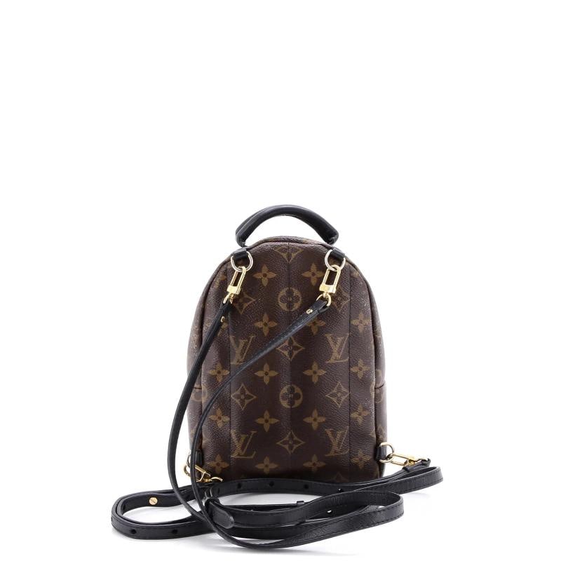 Louis Vuitton Palm Springs Backpack Monogram Canvas Mini - 3