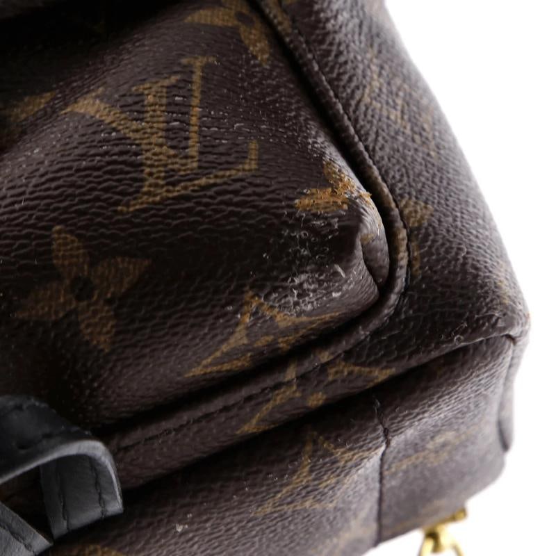 Louis Vuitton Palm Springs Backpack Monogram Canvas Mini - 6