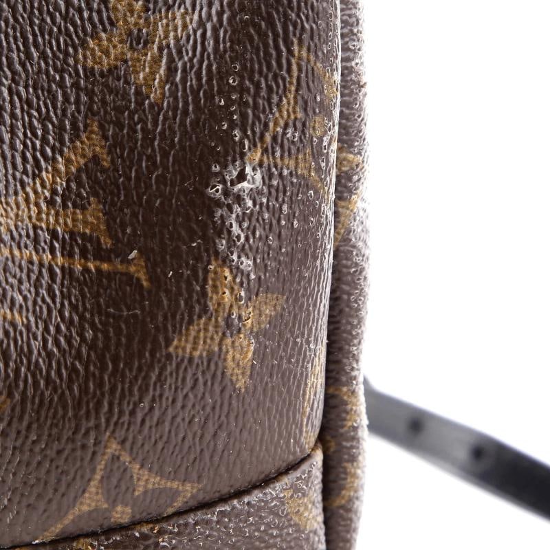 Louis Vuitton Palm Springs Backpack Monogram Canvas Mini - 8