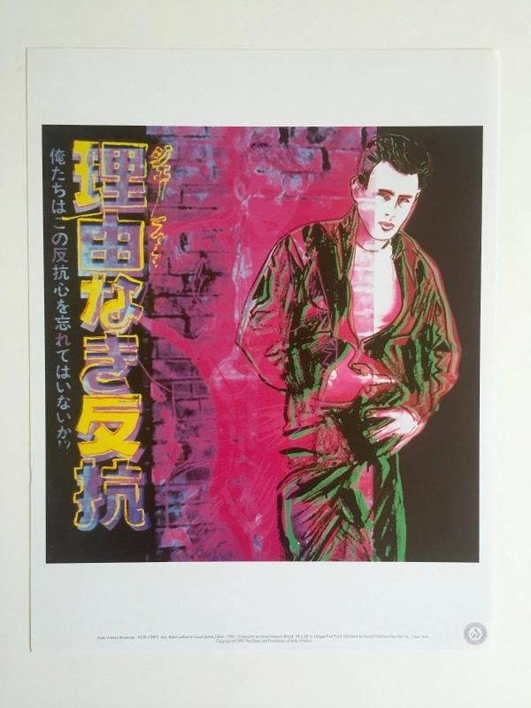 ANDY WARHOL ESTATE RARE 1990 LITHOGRAPH PRINTS~ SET OF 6 - 4