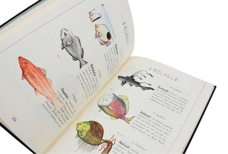 Codex Seraphinianus ~ SIGNED by LUIGI SERAFINI ~ Limited First Edition 1st 1981 - 9