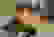 item-53900309=4