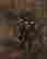 item-53900326=2