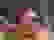 item-53900333=5