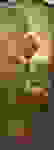 item-55021291=2