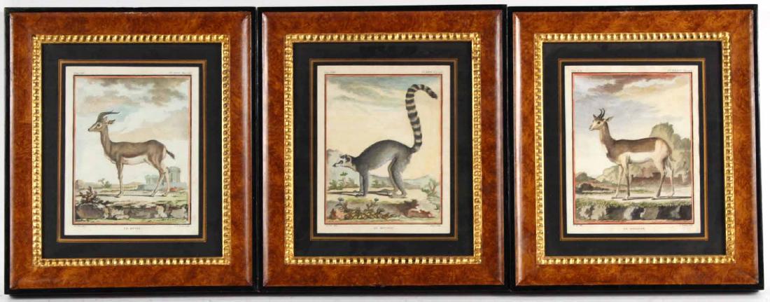 Three French Wild Life Animal Engravings (1 of 7)