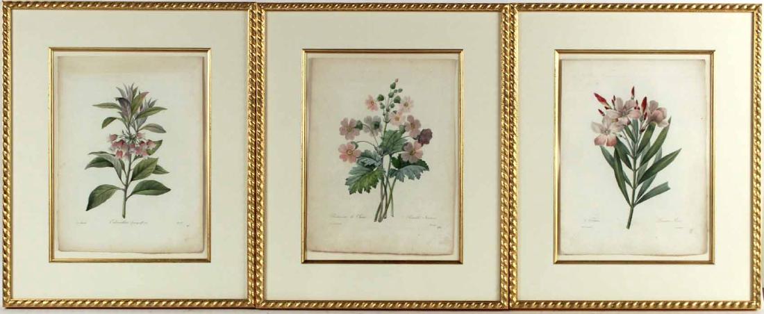 Three Botanical Hand Colored Prints (1 of 7)