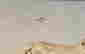 item-56066951=7