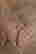 item-56968002=4
