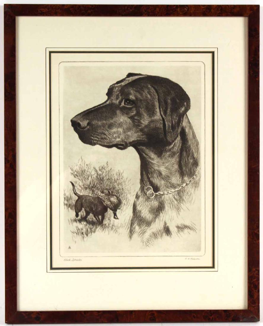 Black Labrador Etching, R.H. Palenske (1 of 5)