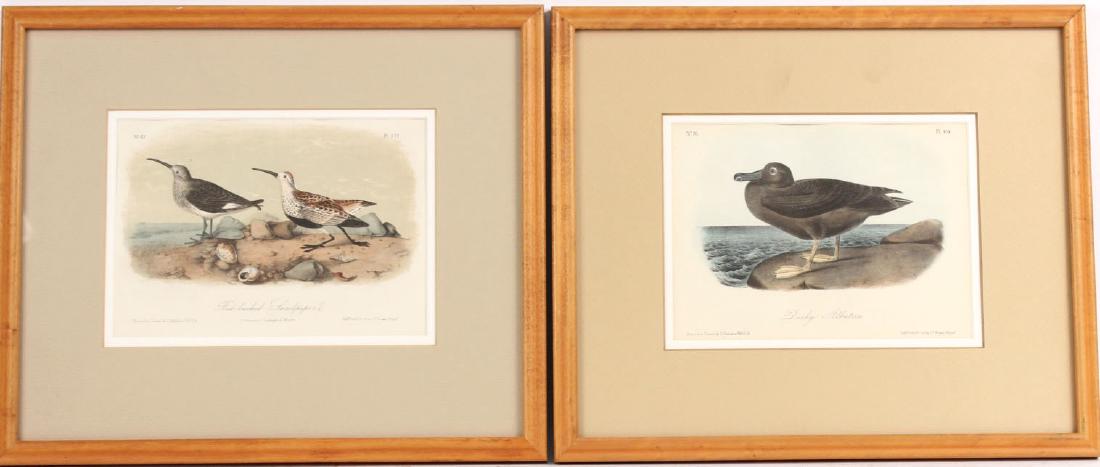 FOUR AUDUBON BIRD PRINTS (1 of 8)