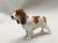 ROYAL DOULTON ENGLISH SPRINGER