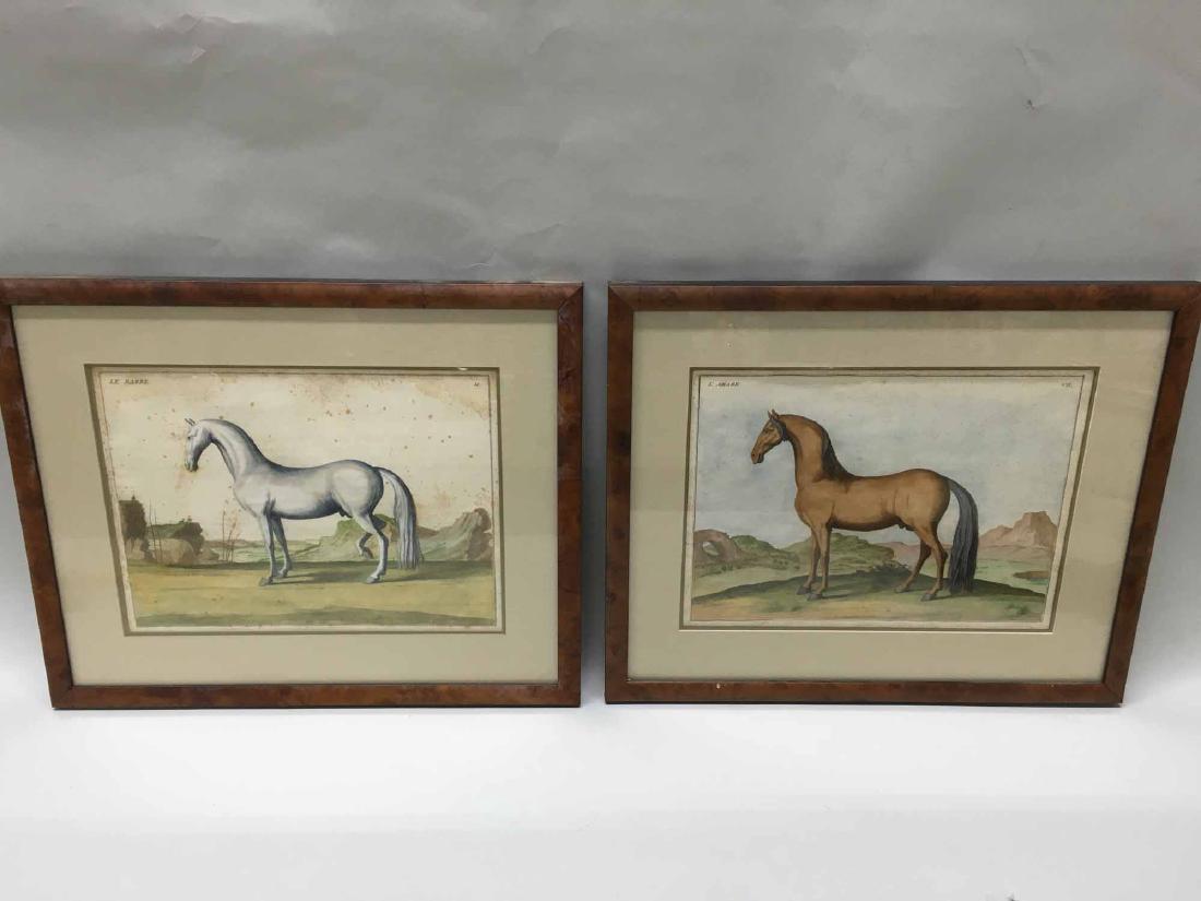 FIVE FRENCH HAND COLORED SPORTING ENGRAVINGS (1 of 6)