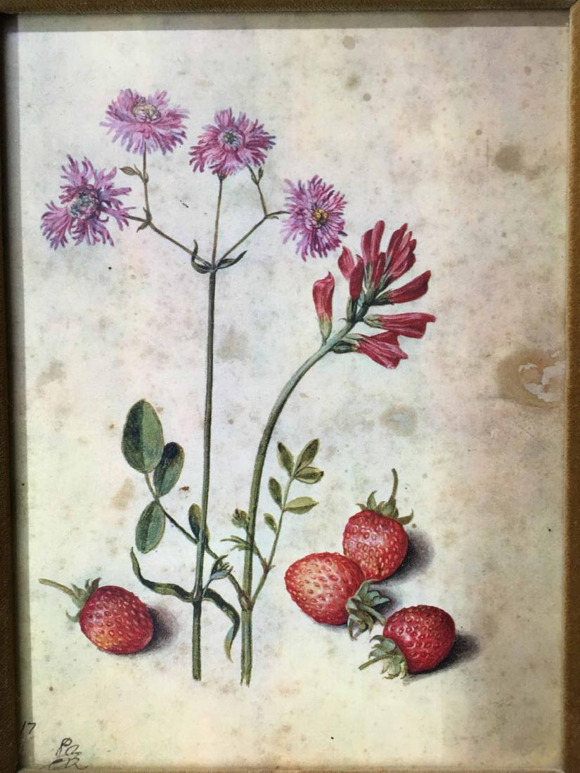 GROUP OF FOUR ASSORTED FLORAL PRINTS (1 of 4)