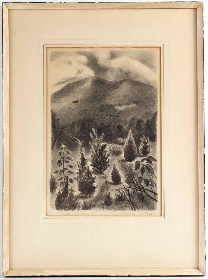 LITHOGRAPH LANDSCAPE (1 of 5)