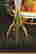 item-59288546=4