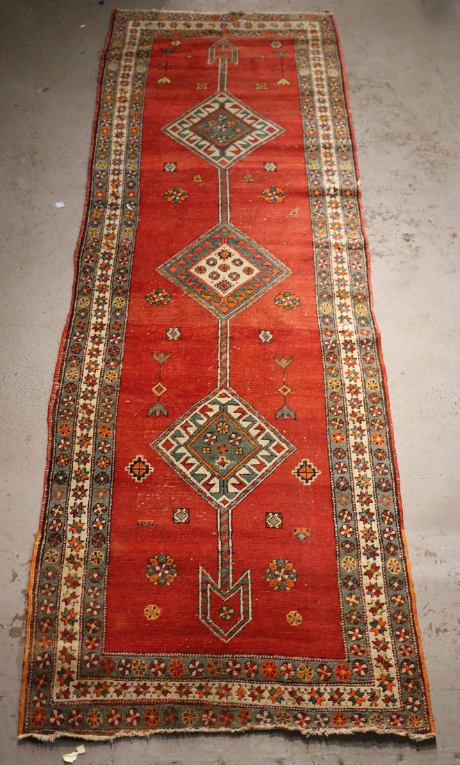 Caucasian Runner (1 of 7)