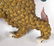 Chinese Glazed Ceramic Foo Dog Roof Tile - 8
