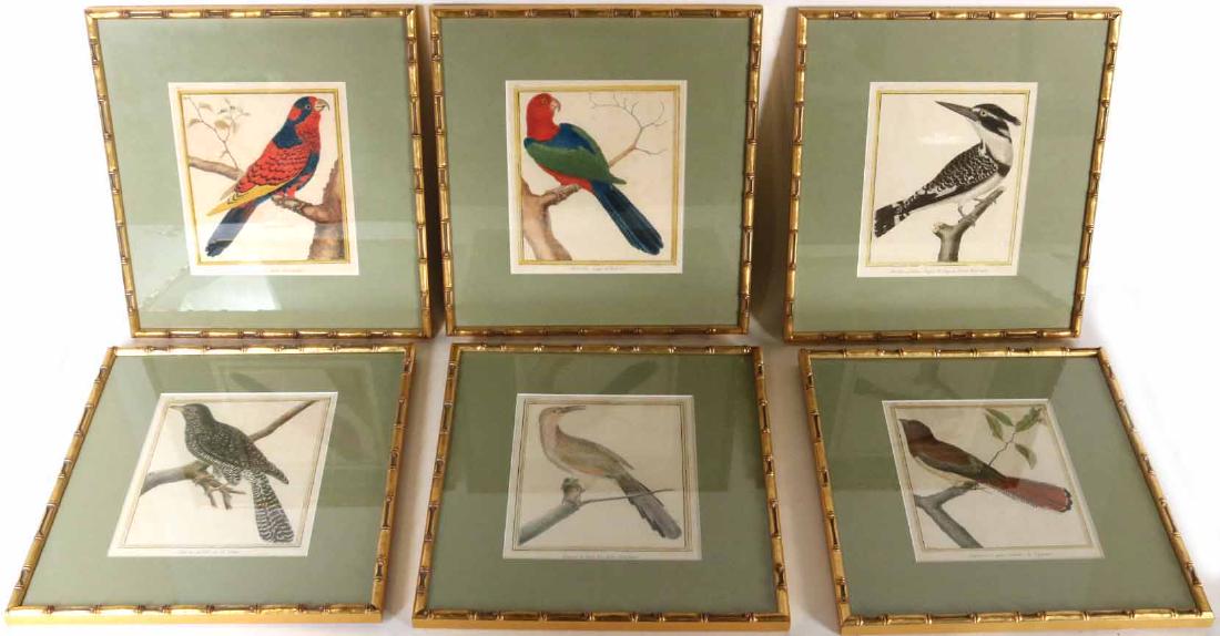Six 18th C. Ornithological Prints (1 of 11)