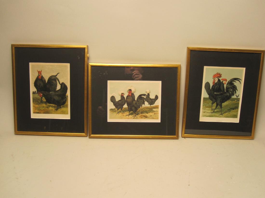GROUP OF THREE ROOSTER PRINTS (1 of 4)