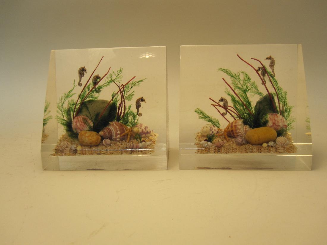 PAIR OF LUCITE BOOKENDS WITH SEASHELLS: 5" x 3" x 4 3/4" tall