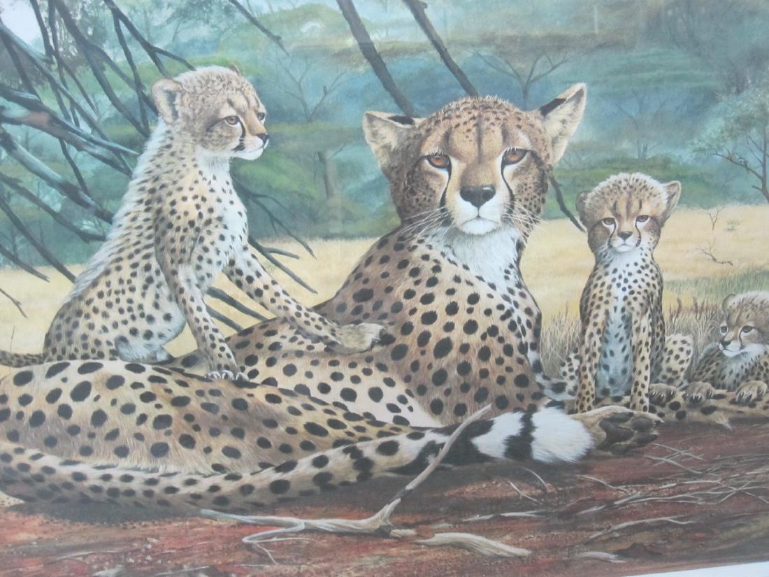 RAY HARM CHEETAH PRINT (1 of 6)