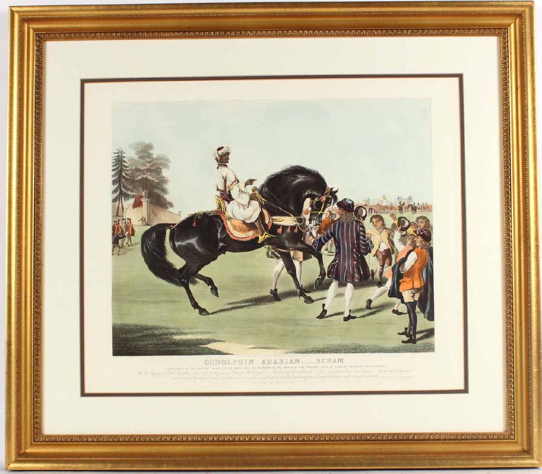 ENGRAVING, ARABIAN HORSE, J.S. MACKRELL: Titled "Godolphin Arabian.____Scham. 20"h x 24"w