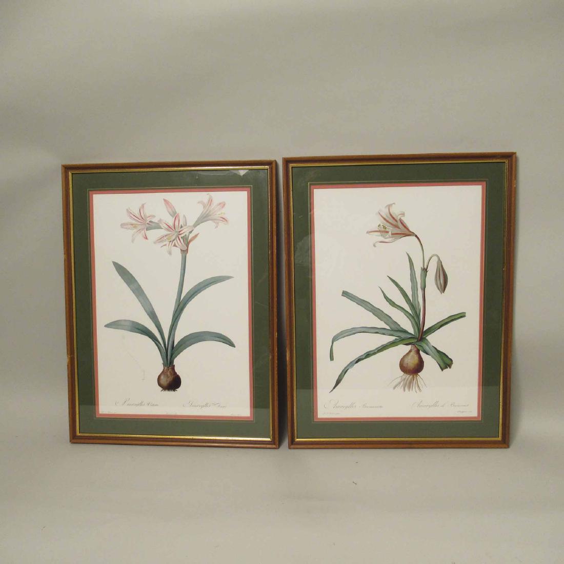 TWO FRENCH BOTANICAL PRINTS (1 of 5)