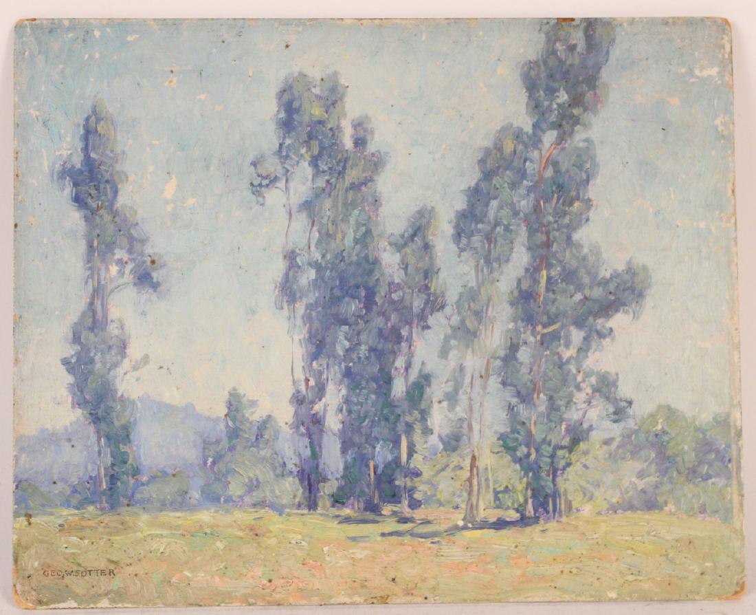 Oil on Board, George William Sotter: (American 1879-1953) Signed, ll, "Geo W Sotter". Group of Eucalyptus Trees. 8"h x 9"w