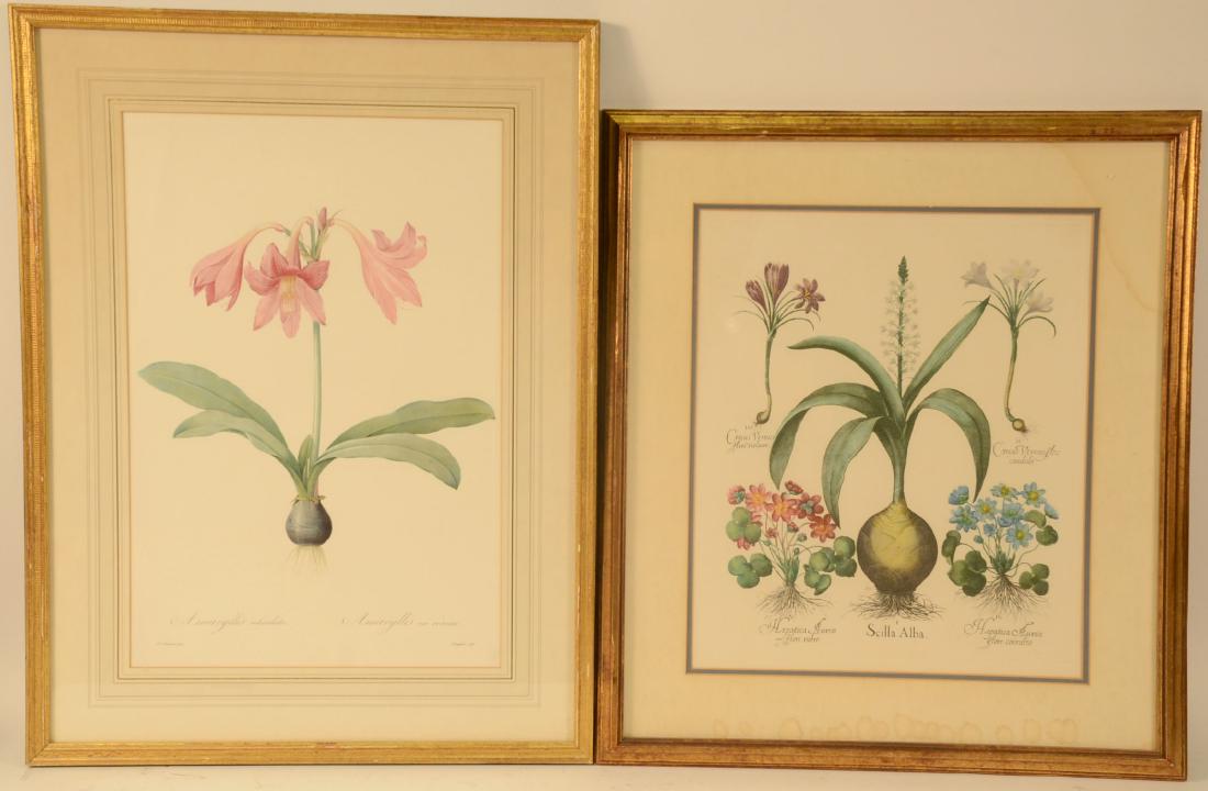 Two Floral Prints (1 of 10)