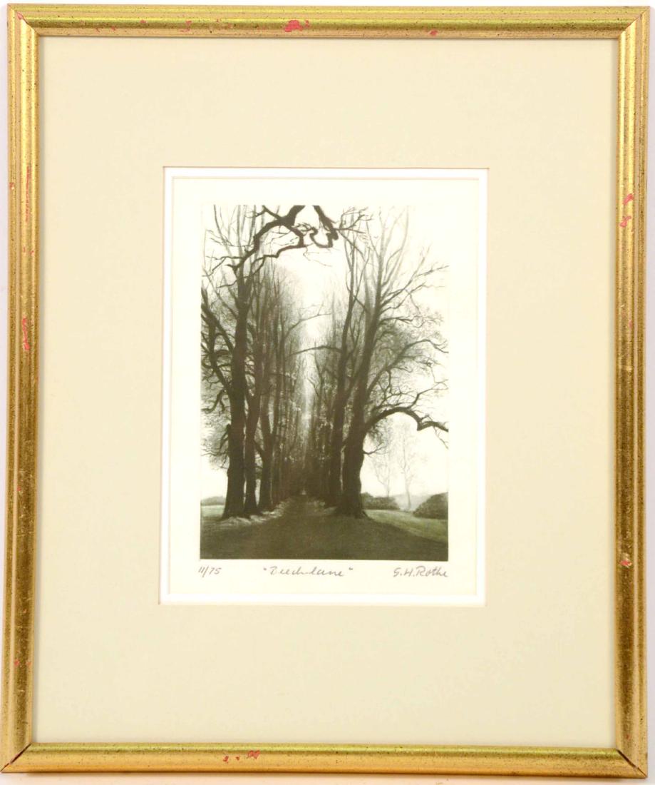 Mezzotint, Gatja Rothe (1 of 7)