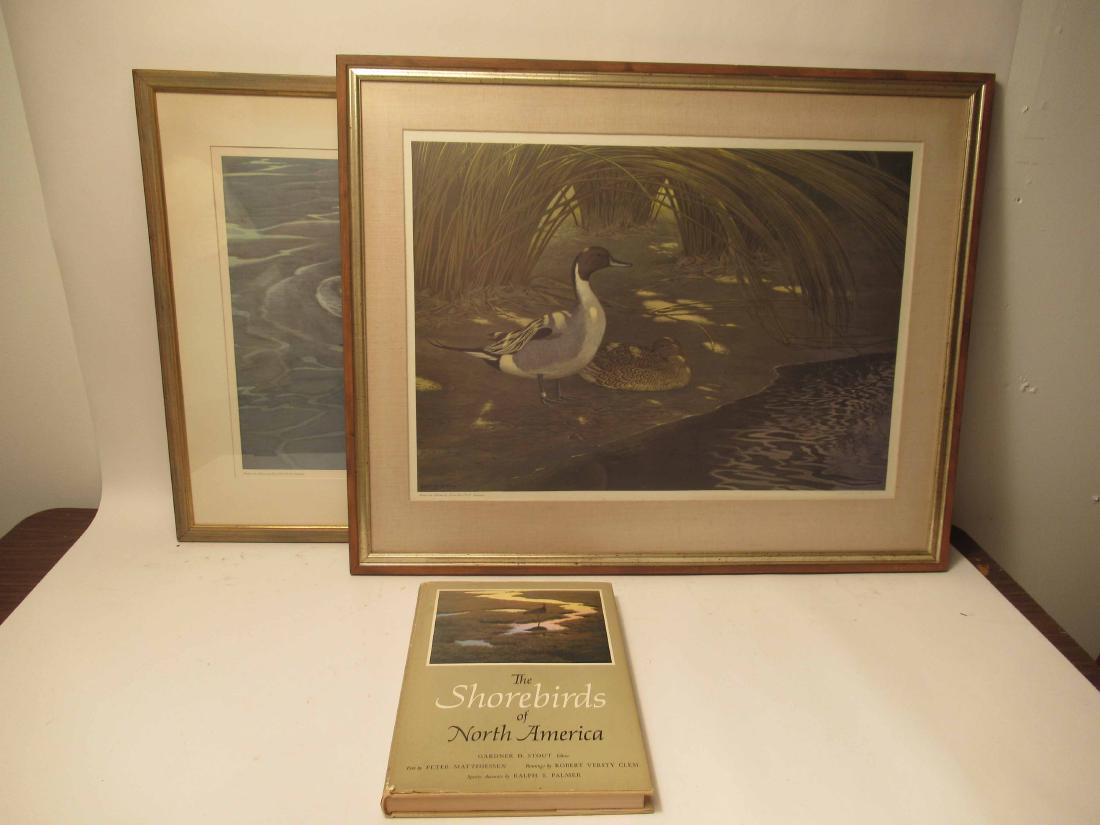 Two Lithographs, Sporting Prints of Waterfowl (1 of 9)