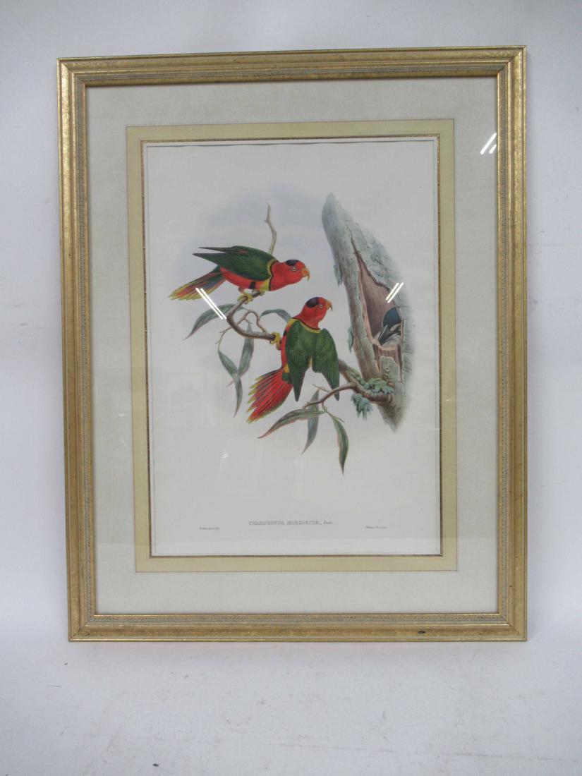 Handcolored Lithograph of Birds (1 of 3)