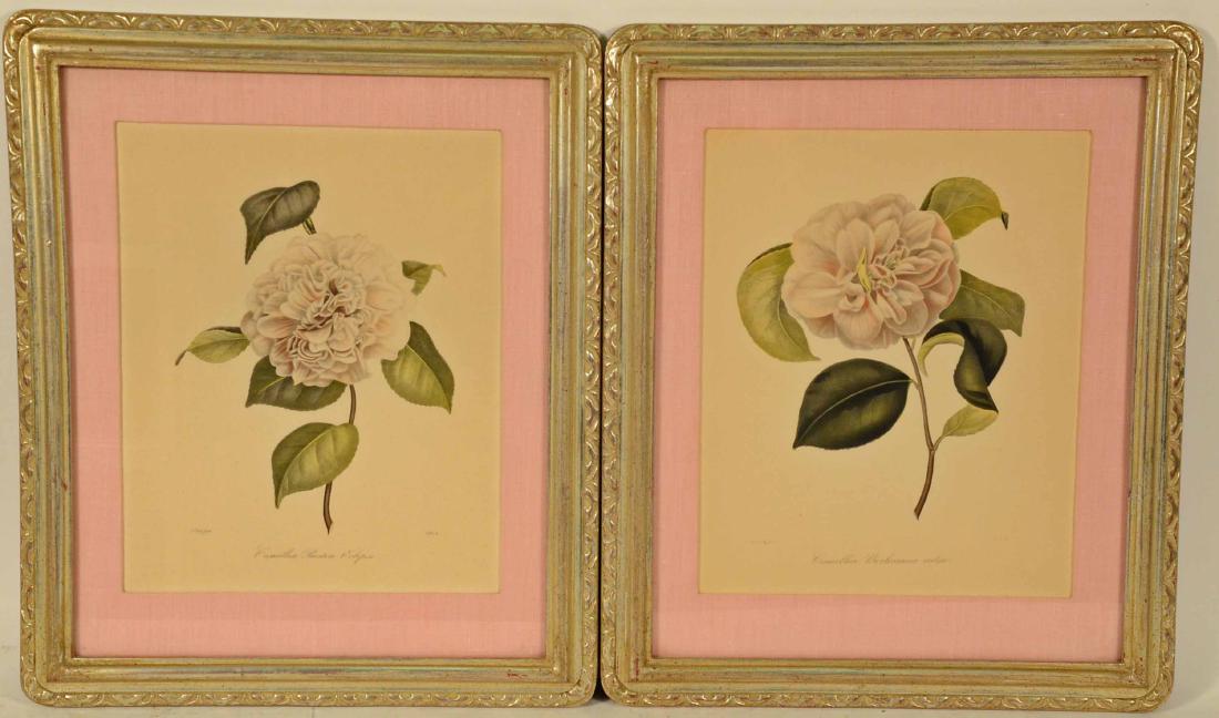 Pair of Botanical Prints (1 of 7)