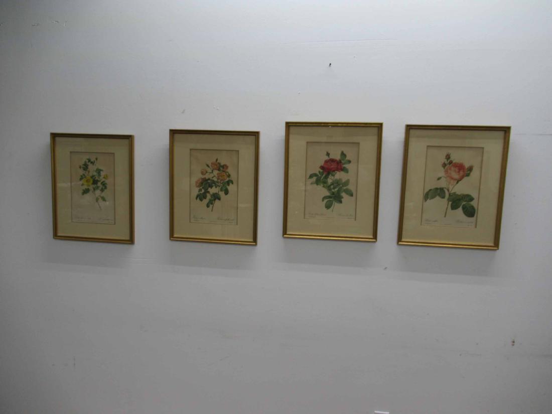 Four Botanical Prints on Paper, P.J. Redoute (1 of 6)