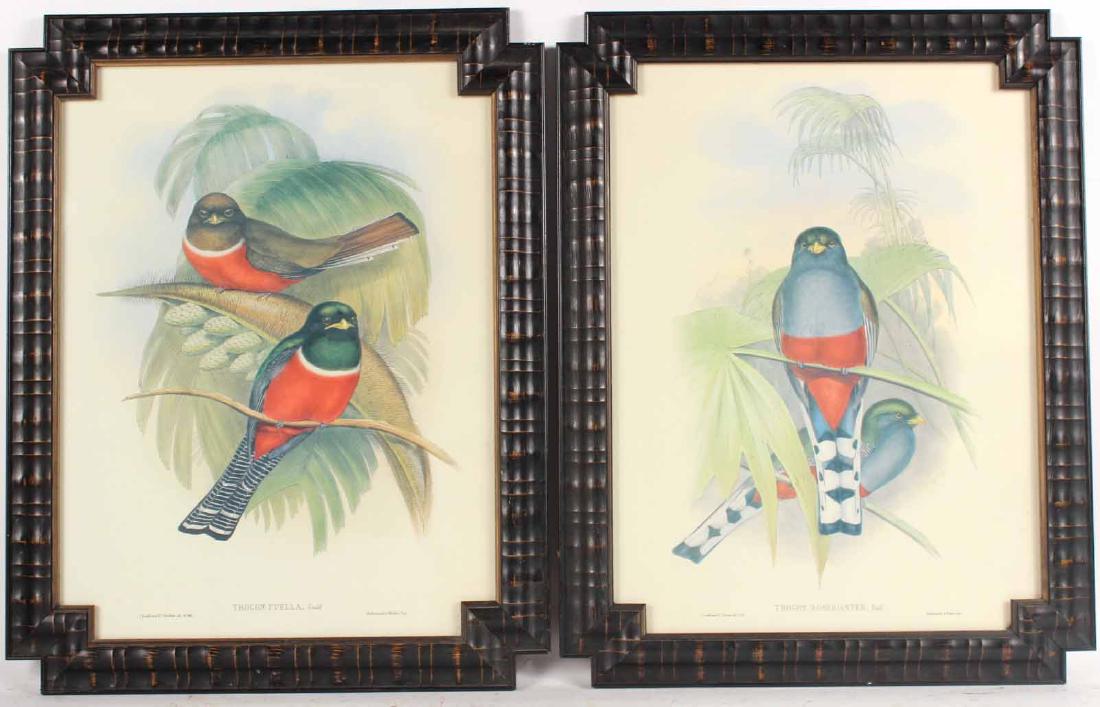 Two Ornithological Prints, J. Gould (1 of 9)