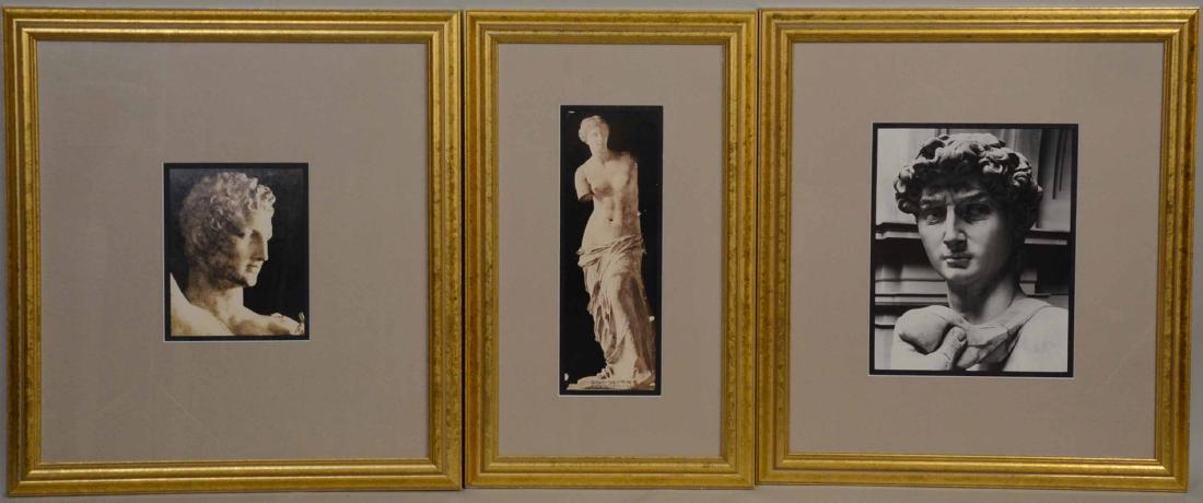 Two Framed Black and White Photographs: Depicting Classical Marble Busts. Together with a Framed Photograph of Venus de Milo. 20th Century. 32" x 19 1/2"