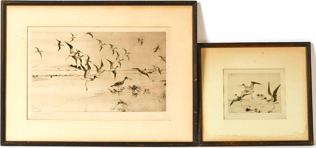 Two Etchings of Yellowlegs, Frank W. Benson: (American, 1862-1951), both signed in pencil, titled "Three Yellowlegs" and "Yellowlegs Alighting." Sight size: 5-1/2"h x 7"w and 10-1/4"h x 15-1/4"w