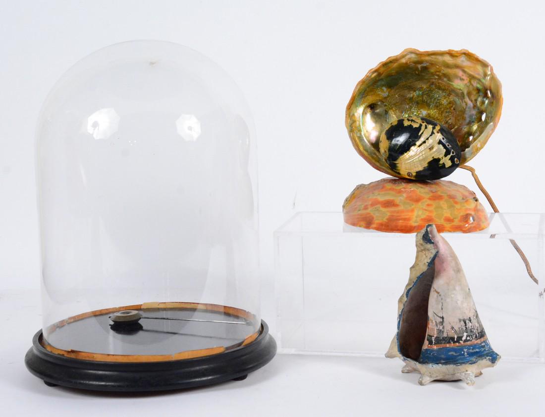 Shell Table Lamp (1 of 6)