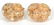 Maz 14K Yellow Gold Shell Earrings