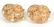 Maz 14K Yellow Gold Shell Earrings - 2