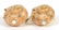 Maz 14K Yellow Gold Shell Earrings - 6