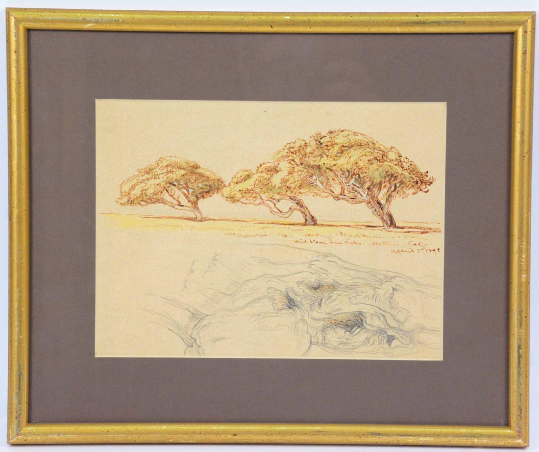Double Sided Ink and Pencil Drawings of Trees: Attributed to Samuel Colman (American, 1832-1920), dated April 1898. From the Estate of Samuel Colman, Long Island, New York. Sight size: 7"h x 9-1/2"w and 7"h x 9"w Provenance: Purchased from Samuel