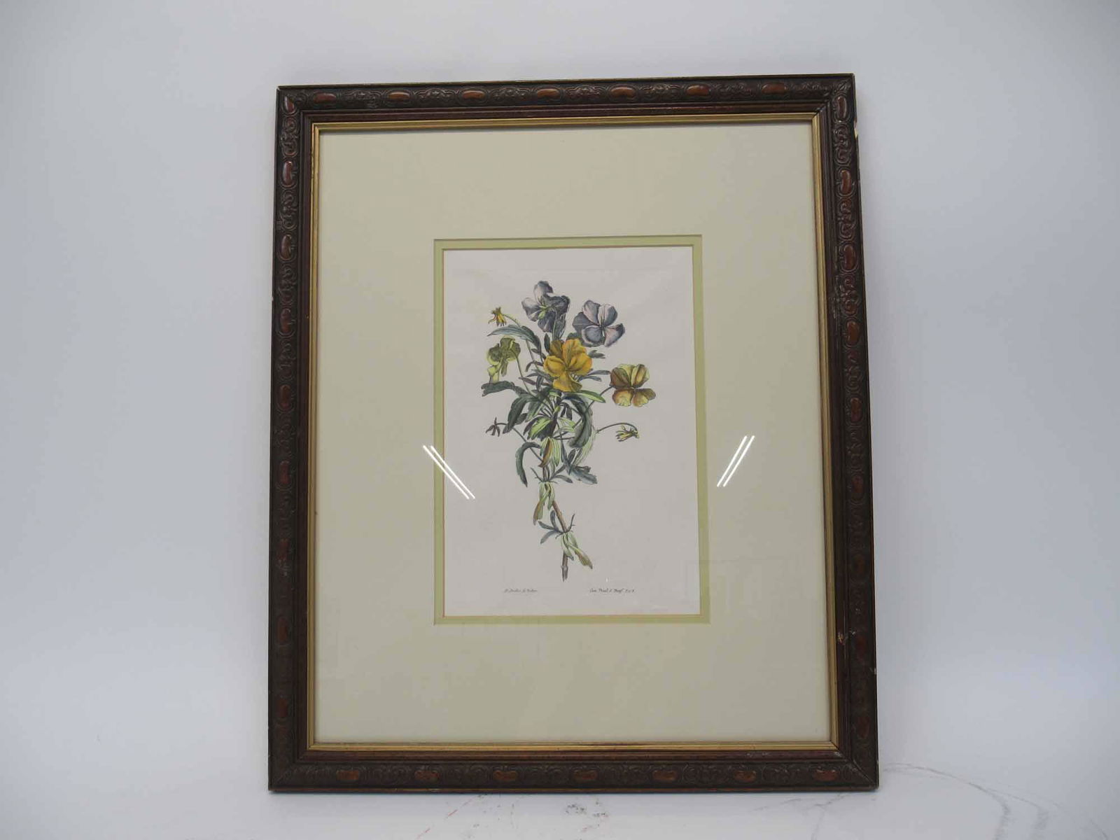 Hand Colored Botanical Lithograph (1 of 5)