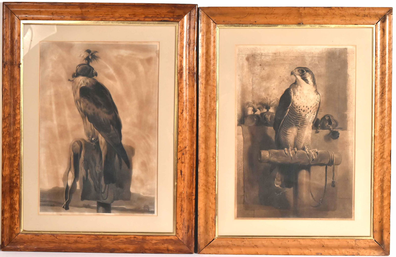 Pair of Engravings, Eagle and Falcon (1 of 11)