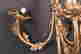 item-80067425=4
