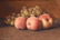 Oil on Canvas Still Life George Henry Hall - 5