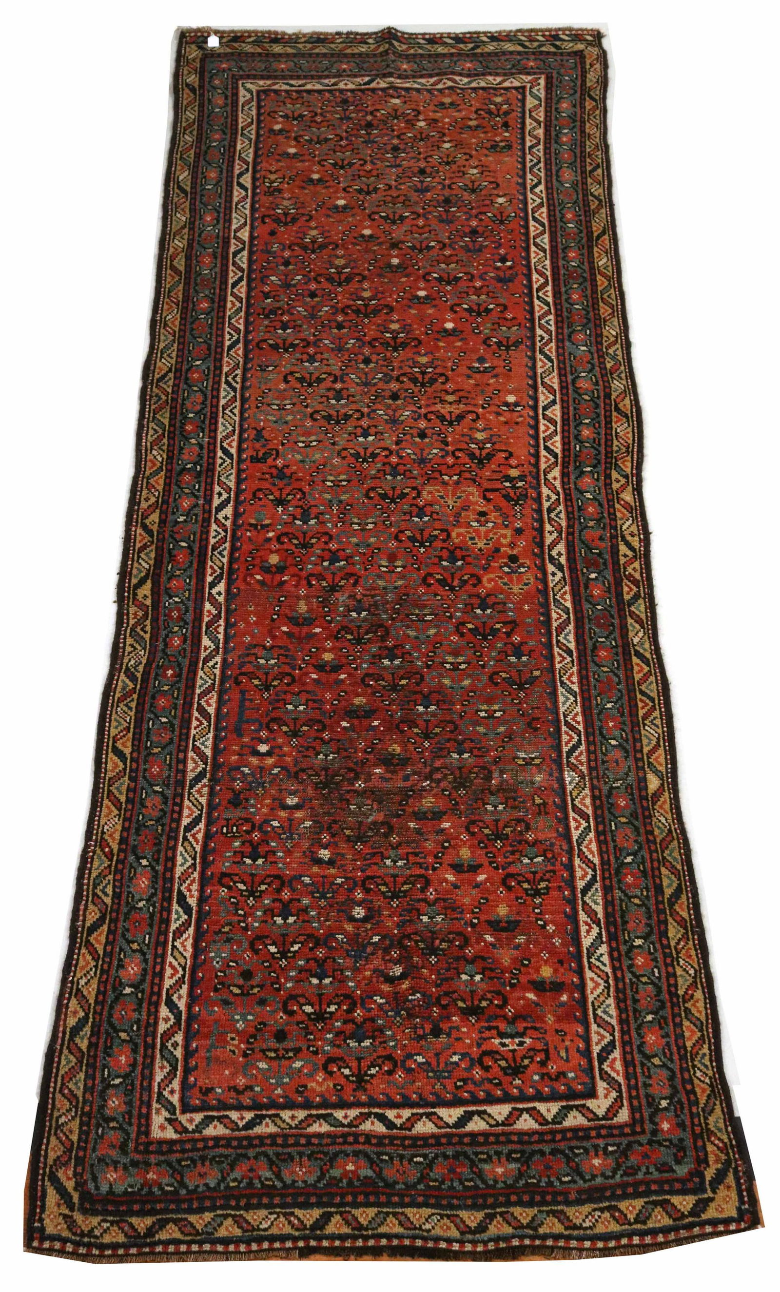 Northwest Persian Runner (1 of 4)
